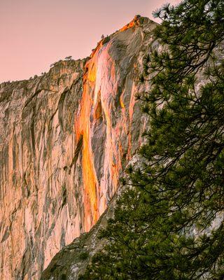 Darren Marshall Photography