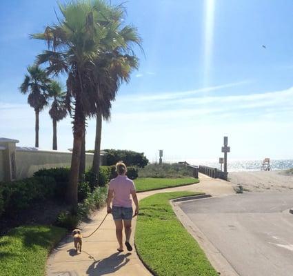 I have the most amazing "job"!!!