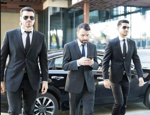 Protection Enforcement Agency