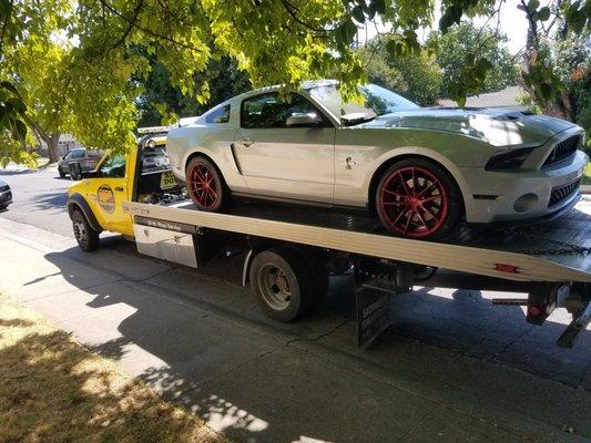 Reds Towing & Transport