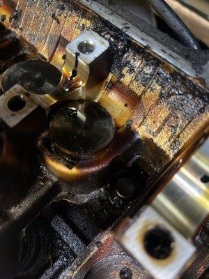 B & C Auto & PowerSportz