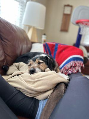 Critter Cavalry Rescue