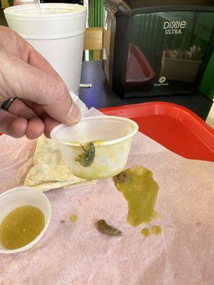 Absolutely disappointed.