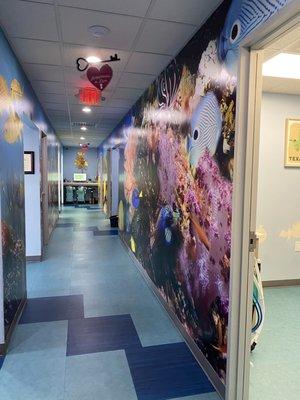 Kids 4Ever Pediatric Dentistry