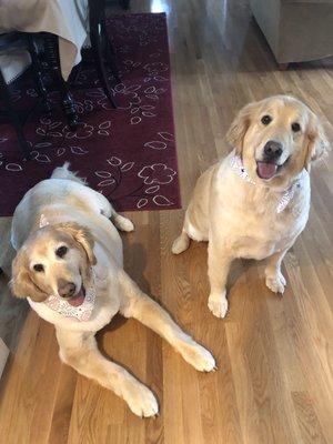 My gorgeous girls with their new haircuts!