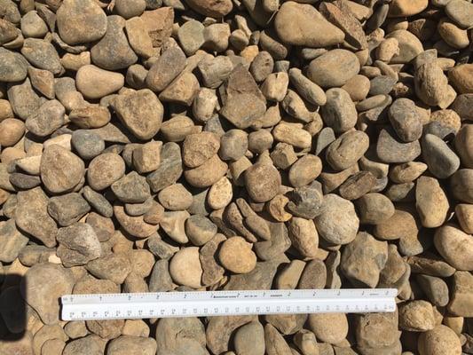 Troesh Coleman Pacific, Inc.