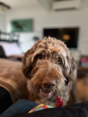 Town and Country Animal Clinic