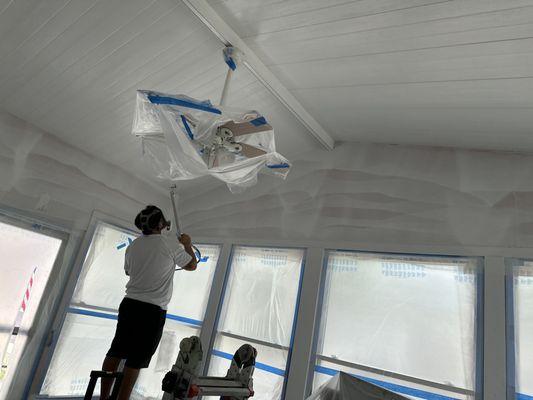 Central Florida Colors