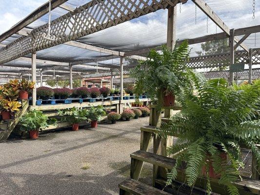 State Farmers' Market