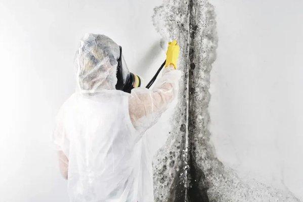 A person in a white protective suit, face mask, and yellow gloves sprays a liquid on a large, vertical patch of black mold on...
