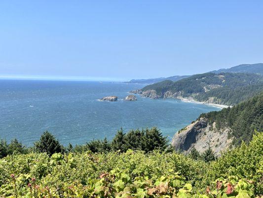 Samuel H Boardman State Scenic Corridor