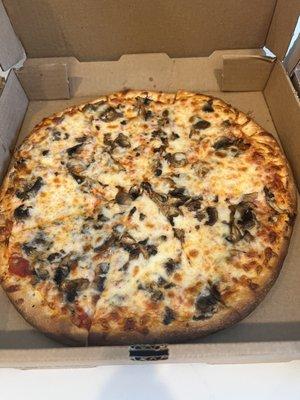 Mushroom and cheese pizza