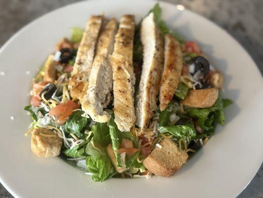 Grilled Chicken Salad