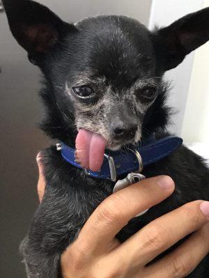 Matt’s Way Doggy Day Care