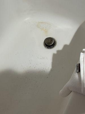 Stains and dirty bath tub