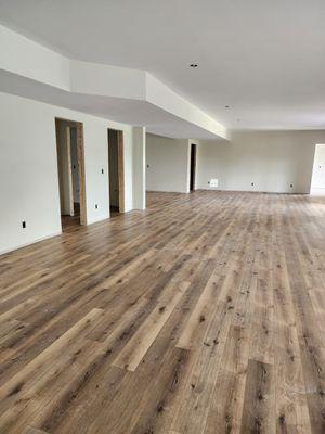 MHC Painting Services