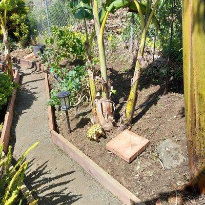 PrimeScape Solutions