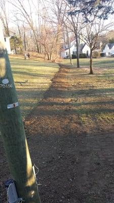 Diiorio Landscaping