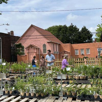 Meadow City Native Plant Nursery