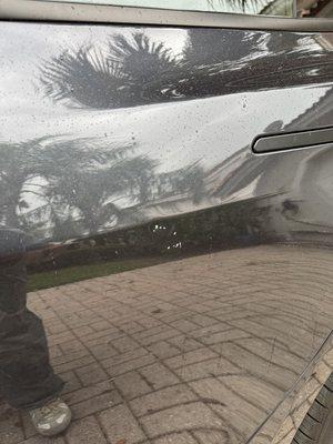 Sonshine Landscape & Maintenance