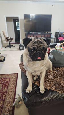 Flash-Crash-Bang-Boom!