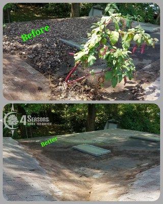 4 Seasons Tree Service