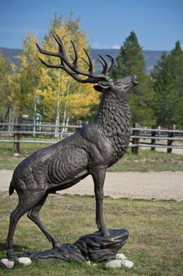 Whistling Elk Ranch