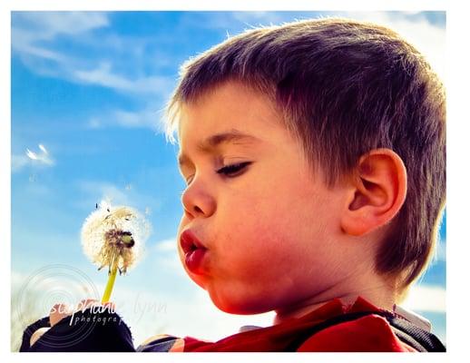 Stephanie Lynn Photography