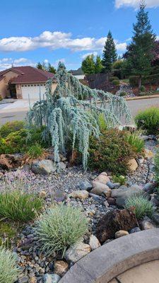 Neil Fairburn Sprinkler Ser