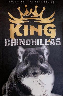 King Chinchilla