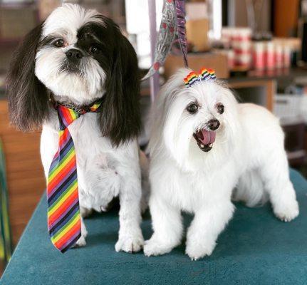 Scott Miller Studios