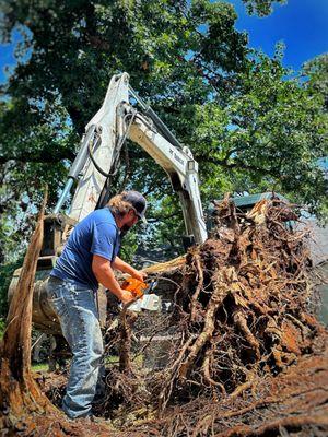 Champion Tree & Disaster Services