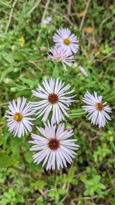 Let your stress fade away here at Silver Springs! Book your kayaking adventure today at: KayakRentalSilverSprings.com