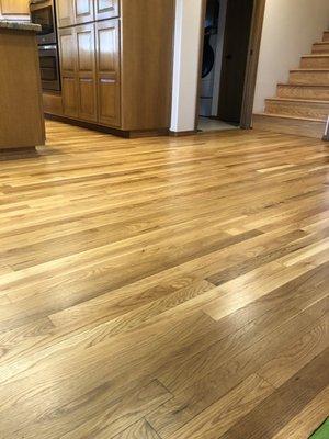 All Wood Floors