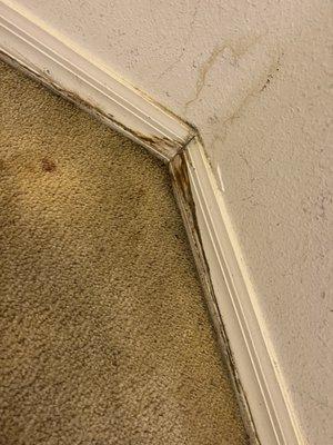 Up Close Inspections