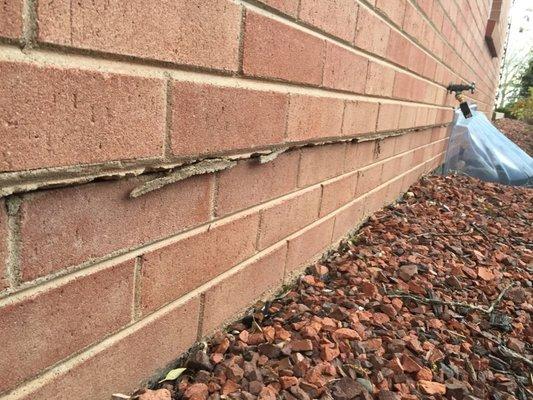 Capital Valley Inspections