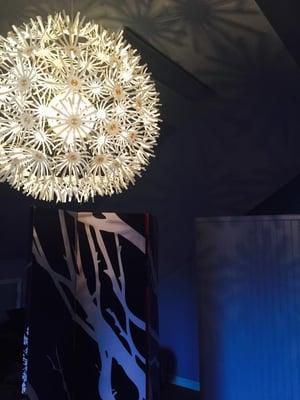 Welcome to portland health center