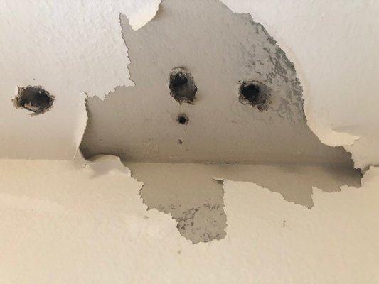 Holes in ceiling (by maintenance) for leak