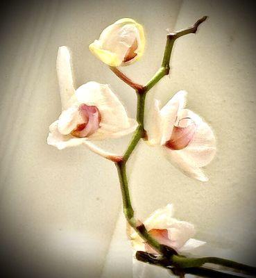 Such a beautiful, peaceful place - even if you're just waiting...