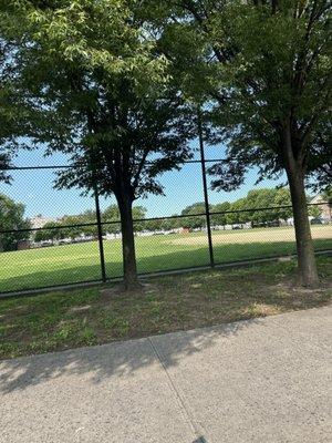 Morning walk in the park