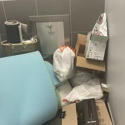 Gold Coast Pest Elimination