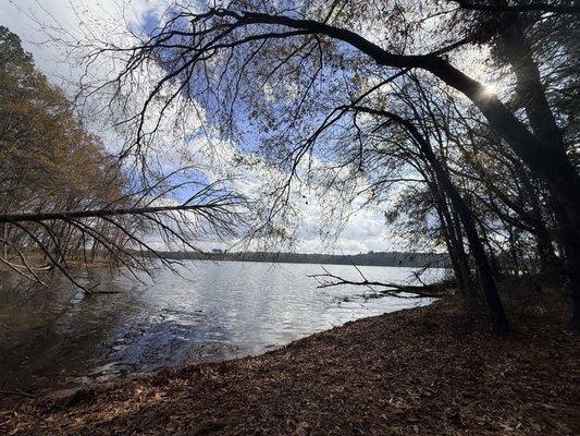 Harris Lake County Park