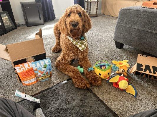 Cody Country Bed & Biscuit