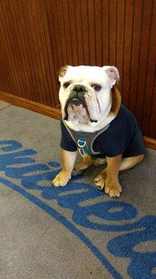 Childers Door Service of Central Illinois