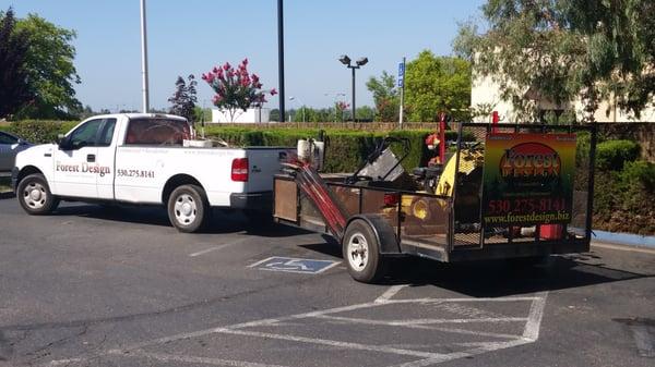 Forest Design Landscaping