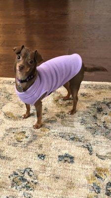 Healthy Pets of Lewis Center