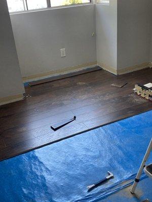 Rodz Property Services