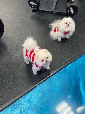 24/7 Gym Body By Petra