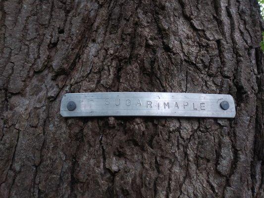 Tenhave Woods Nature Trail