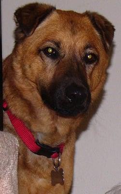 One success story from back in the day.. thanks, AMRT!!